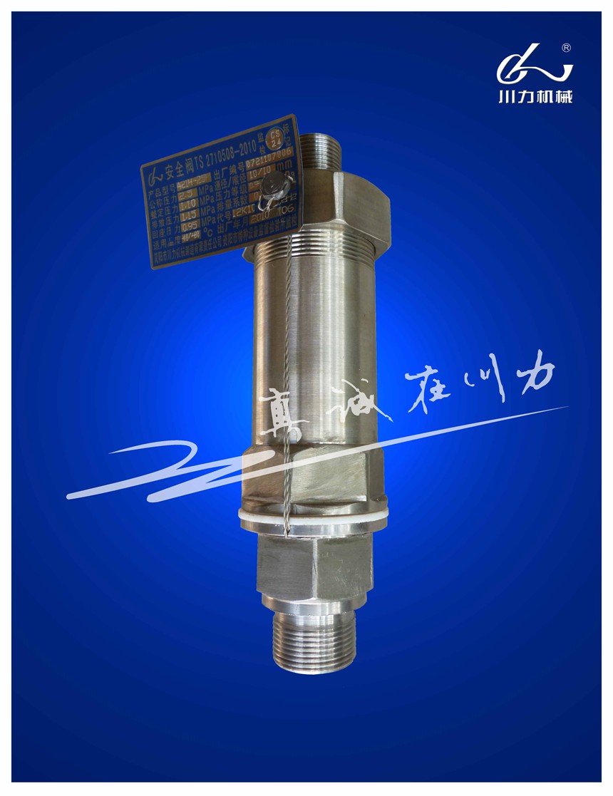 壓縮機安全閥.jpg